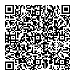 少主他买的两艘航母已经运到了北津港目前少主正在航母上而且在往那边运材料据说少主要出海而且看形势很长时间都不会回来了二维码生成