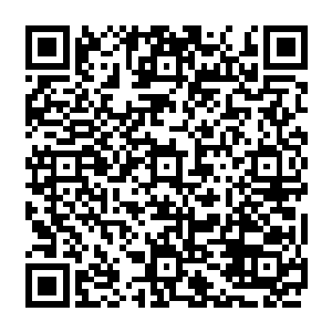 少年们绝决的表情和稚嫩的攻击让他觉得自己好像在看一场声势浩大的3d格斗动作电影二维码生成