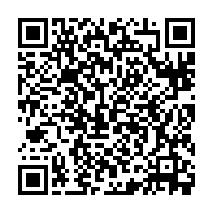 少年天意圣尊冷漠的看着他 目中 除了一丝绝对之外 更多的便是无敌二维码生成