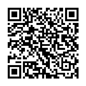 少数几个不甘的拿出各种各样的特定钥匙试的仙人从眼前走过二维码生成