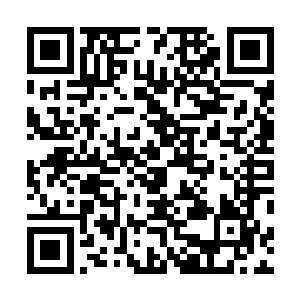 尚且有些稚嫩的脸颊不知何时从冻得惨白变成不正常的红二维码生成