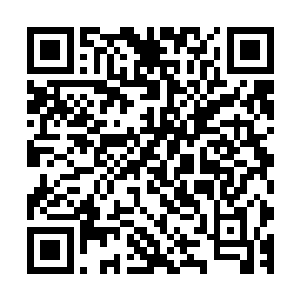 尚书记和童市长委托他代表市委市府去感谢演员们的精彩表演二维码生成