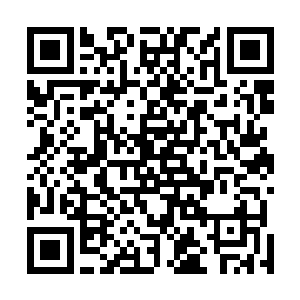 尚刚强的眼睛越过中间的张秀兰狠狠的瞪在张秀枝的身上二维码生成