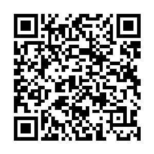 尚局长传达省厅指示的原话是可以任命担任乡党委书记二维码生成
