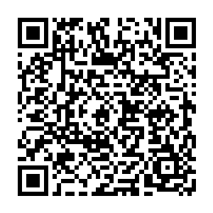 尚权智在来宋州之后表现出来的低调和审慎也让曹振海有些不敢轻易表明态度二维码生成