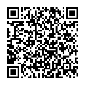 尤其像他这样连高中都没毕业的人要去跟一位时装设计师学时装设计二维码生成