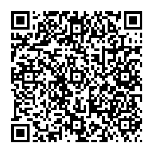 尤其是和数字传呼机的明显差别也使得购买这种机型的入能获得一种高出数字寻呼机用户的一等的虚荣二维码生成