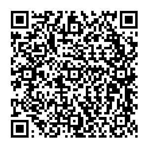 尤其是在两姊妹越来越意识到在省队混下去没有多大意思而教练又在旁敲侧击的暗示着什么时二维码生成