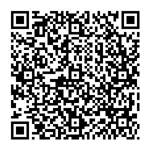 尤其是在确定了那个姓叶的手里真的有那种接近进化的沉疴墨莲的时候……确定了这件事情竟然是真的的时候……二维码生成