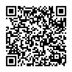 尤其是媒体的大逆转更是让他们猜疑纷纷――虽然他们也不喜欢媒体各种猜测二维码生成