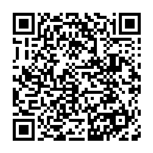 尤其是当看到慕慕从娘胎就带着的血海之灵的印记竟然有了淡化的痕迹二维码生成