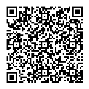 尤其是欧美企业同样清楚如果要和中国企业组成竞标联合体就会不可避免受到他们国内政府的怀疑二维码生成