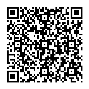 尤其是陆为民那份不卑不亢的自信和渊博风趣的谈吐和都博得了魏行侠的不少好感二维码生成