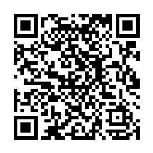 就一定会把爸爸和妈妈以及他们的名字加入君家的族谱二维码生成