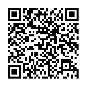 就不会白逸才……若是师尊你执意要将掌门之位传给我的话二维码生成