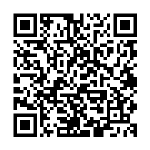 就不会让早已经退隐的您披挂上阵去执行这注定会失败的任务二维码生成