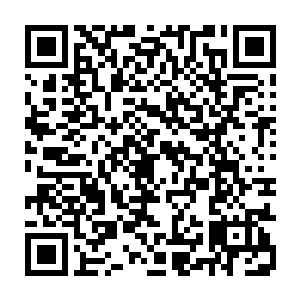 就不料敌人有这样宁可玉碎而不瓦全的气概……或刚刚自己就不应争着下来二维码生成