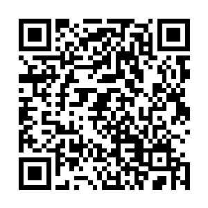 就不知道神识修为下降的你在黑狱城的地位会不会受到影响二维码生成