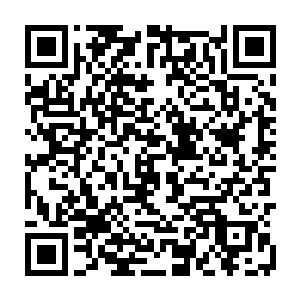就仿佛是一只可怜的瘦老鼠被人拎着尾巴抛出去似的一头就撞在了角落里二维码生成