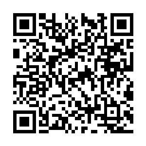 就仿佛是林封谨在急退的时候撞到了孙和林的怀中二维码生成