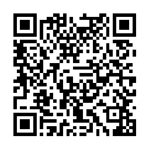 就仿佛没有看到他们也不知道他们和他一起的样子二维码生成