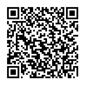 就会发现有把小刀用而不是必须使用一把三十厘米多长的大刀有多幸福了二维码生成