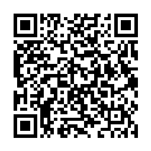 就会和还没有搞定的相控阵雷达和新型航电系统一起二维码生成