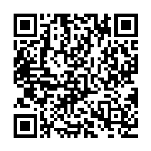 就伸手把台子上排开的几支狙击步枪和那杆猎枪一并抱走扔上车二维码生成