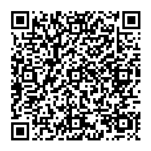 就你们家作者在苦逼的码字中……明天除夕还要码字……求月票安慰~~最后一章最后一页求月票二维码生成