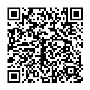 就像一帮办公室的热衷搞政治和空想的外行人瞎指挥片场的内行人二维码生成