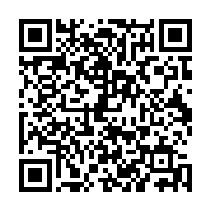 就像一道灰色虚无的盾牌一样挡在了张铁的巨塔大棒的前面二维码生成