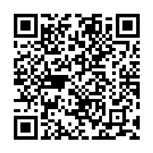 就像我也无法完全理解你一样……你背负着由人类定下的二维码生成