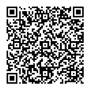 就像是……就像是回到了……自己从来没有见过面的……只在梦里出现过的……妈妈的怀里……二维码生成