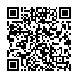 就像是一个老师和他自己的学生在探讨学习上的问题二维码生成