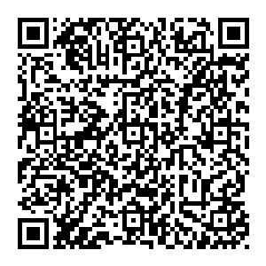 就像是他并不在乎自己当时为什么会毫不考虑地就把一些敏感文件存放在一台联网的电脑里一样――究竟因为什么原因而愚蠢并不重要二维码生成