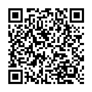 就像是因为畏惧方炎的威势所以才不得不这么说的小可怜模样二维码生成
