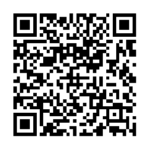 就像是最有荆棘森林经验的谢雨欣正好卡住了正确的点二维码生成