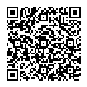 就像是爬上岸的两栖动物和深海中的巨齿古鱼之间的关系你们完全不必担心我们要毁灭你们二维码生成