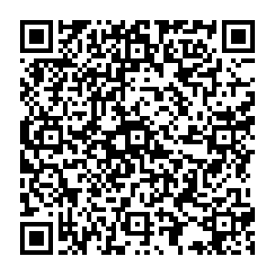 就像这一次提出的提升党的执政能力和通过加强村务公开来完善基层政权组织建设这个提议一样二维码生成