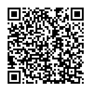 就光凭他们在突破过程中所消耗的万能药总数便达到了惊人上千颗二维码生成