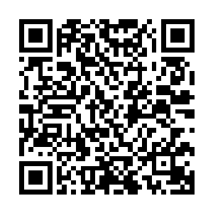 就全靠地下室名家巨作展览的参观门票和秋拍会的佣金收入了二维码生成