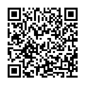 就再也不可能像你一样――像是动物一样的思考和行为方式二维码生成