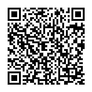 就发现这居然是一辆殡仪馆的灵车……看来鬣狗也真的是计划的很周密二维码生成