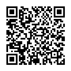 就只一张简单的林烽把所有的表白情书丢进垃圾桶的照片二维码生成