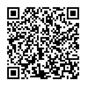 就只能使用这扇已经被撞坏的先充充门面了――这次可真的是充门面二维码生成