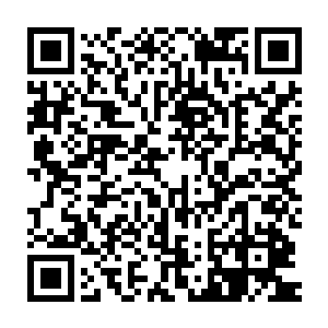 就因为确实存在着一种可以包治百病的药物……它的名字就叫做百草丹二维码生成
