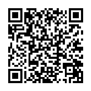 就在一片呼啸而至的飞斧的斧影中被撕成了碎片……二维码生成