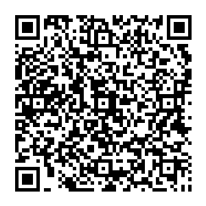 就在他担心之际 忽然间一股无形的力量将他们震开 同时一股嘶吼之声响彻天地 瞬间震破了大幡的封锁二维码生成