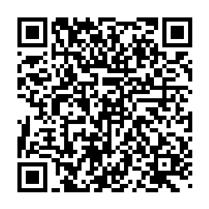 就在四十名准备进入九重宝塔的选手相互商量着待会的作战计划时二维码生成