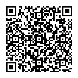 就在妮娜在街头犹豫是去最近白兰经常去的家庭餐厅还是继续去找老熟人猫眼咖啡厅的时候二维码生成